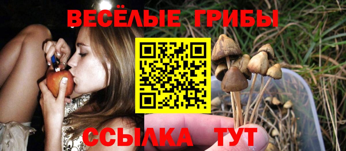 Галлюциногенные грибы мухоморы Хасавюрт